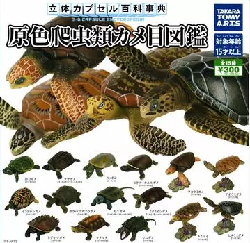 Capsule 3D Capsule Encyclopedia Primary Color Reptile Turtle Eyes Illustrated Book All 15 Types Set