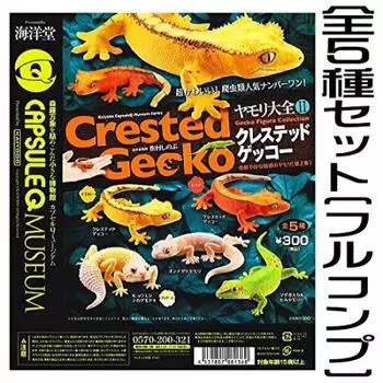 Capsule Q Museum Gecko Encyclopedia 2 Crested Gecko of 5 types [Set (full complete)]