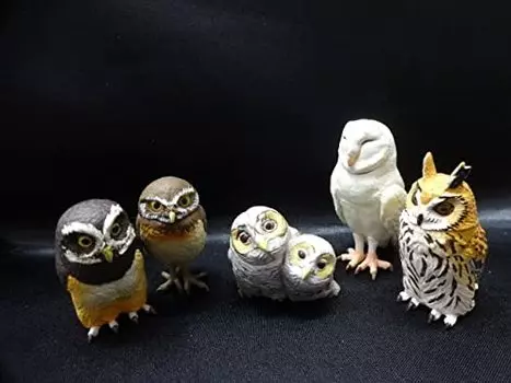 Capsule Q Museum Good Luck Owl Encyclopedia 2 All 5 Types Comp Set Kaiyodo Owl Миниатюрная фигурка совы Товары
