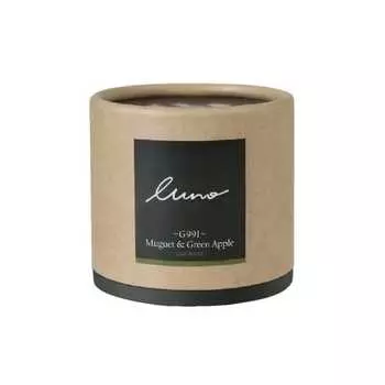 CARMATE Автомобильный дезодорант-освежитель воздуха Luno Forest Gel Standing Type Ландыш и зеленое яблоко 80 г G991