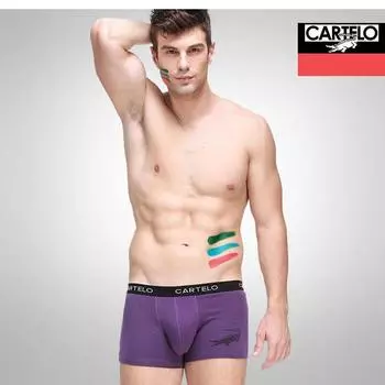 CARTELO, 4 шт., мужское нижнее белье-боксеры, хлопковые дышащие антибактериальные шорты AAA, мягкое нижнее белье L