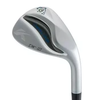 Casco Dolphin Wedge DW-123 NSPRO 950GH neo WEDGE 58 Silver