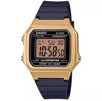 Casio W-217HM-9A Collection часы
