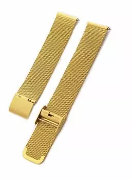 CASSIS Stainless Steel Watch Strap ANGERS 18mm Gold with Replacement Tools D1027304010018