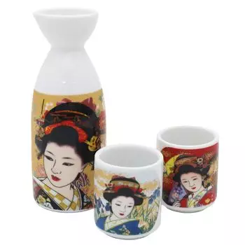Castle Enterprise Kinsai Bijin Sake Bottle Set Made in Japan Japanese Souvenir