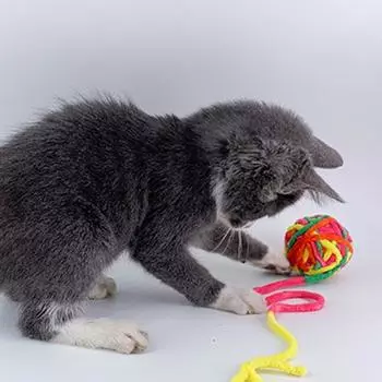 Cat Ball Toys Colorful Yarn Balls Built-in Bell for Cats Interactive Training Chasing Chewing Toy for Kitten Indoor Play