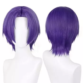 Cat Castle Blue Rock Reio Mikage Reio Mikage Короткий парик для косплея из термостойкого материала Аксессуары для костюмов для вечеринок Сетка для парика в комплекте