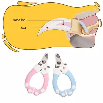 Cat Dog Grooming Nail Clippers Professional Pet Nail Clipper With Sickle Stainless Steel Dog Trimmer Claw Scissors Pet Supplies