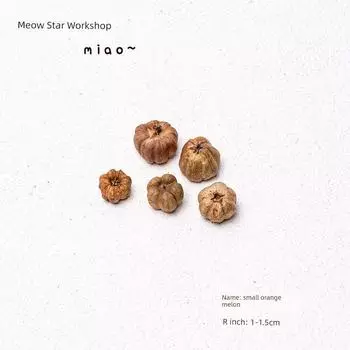 Cat Fengrong Dried Fruit Toy Pine Fruit Natural Plant Smell Fengrong Zihi Supplies 5 small orange melons