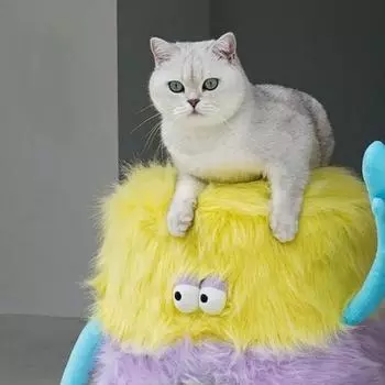 Cat House Winter Warm Cat Bed Stool Fully Enclosed Cats Four Seasons Can Be Dismantled and Washed Pet Supplies Products 42X42X46CM разноцветный