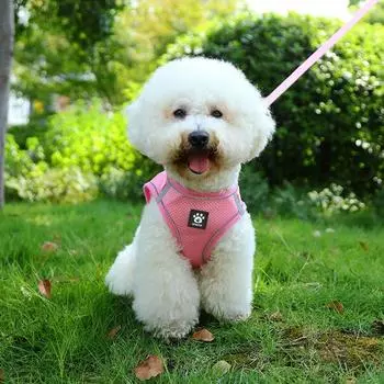 Cat leash anti-break free vest type Internet celebrity walking cat rope British short go out special cat chain pet chest strap M [Recommended 6-4.5kg]