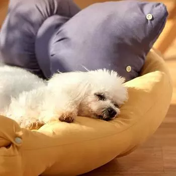 Cat Litter Four Seasons Universal Cat Sofa Mats Cushion Soft Nest Warm Cushion Bed Sleeping Winter Pet Products Accessories S розовый