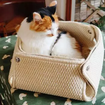 Cat Shelter Soft Wear Resistant Scratch Resistant Cats Sleeping Foldable Cat House Bed Comfortable Pet Products Supplies