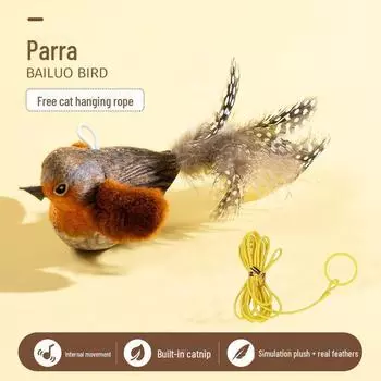 Cat Teaser: Игрушка «Перышко» для жевания, царапания и развлечения котят Includes Electronic Core