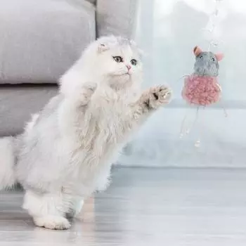 Игрушка-дразнилка для кошек, интерактивная, безопасная, плюшевая игрушка для кошек, мышь с эластичной веревкой для подвешивания серый