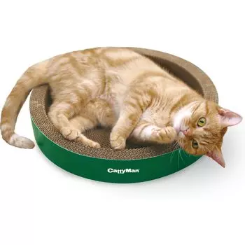 CattyMan Круглый лак для ногтей Irotogi cat