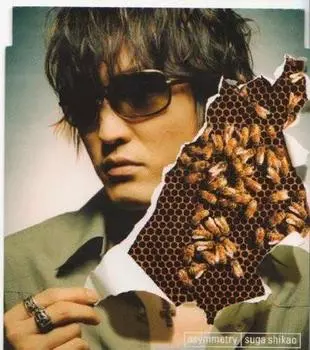 CD SUGA SHIKAO - Асимметрия UMCK5059 Kitty MME 2002 Япония Поп Б/у