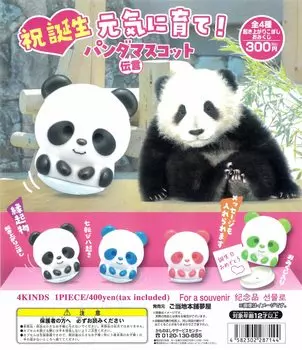 Celebrate your birth and grow up Panda Message Mascot All 4 Types Gacha Gacha Capsule Toy healthy!