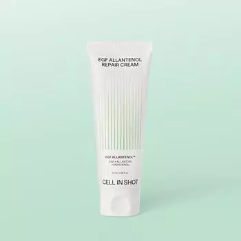 [Cell In Shot] EGF Allanthenol Repair Регенерирующий крем Damage Care Увлажняющий увлажняющий крем, 1 шт., 70 мл