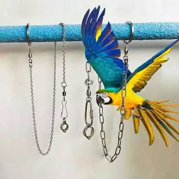 Цепь в виде попугая и птицы с пряжкой из нержавеющей стали, подставка для ножного браслета, кольцо для тренировки No.5