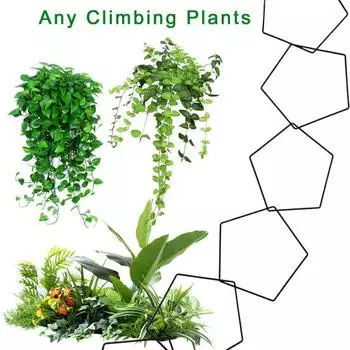 Цепная шпалера для вьющихся растений, пятиугольное кольцо, комплект для поддержки виноградной лозы, нержавеющая сталь, декор для садовой стены для виноградных лоз Pothos A