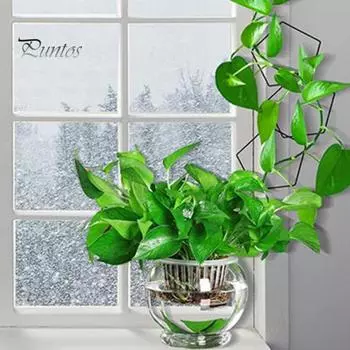 Цепная шпалера для вьющихся растений, пятиугольное кольцо, комплект для поддержки виноградной лозы, нержавеющая сталь, декор для садовой стены для виноградных лоз Pothos A