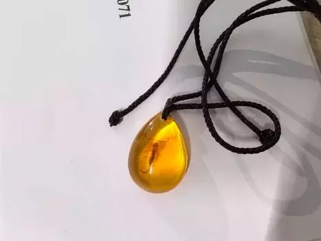 Цепочка для свитера, имитация янтаря, цепочка для свитера, ожерелье в виде насекомых, модное ожерелье для мужчин и женщин One Size коричневый