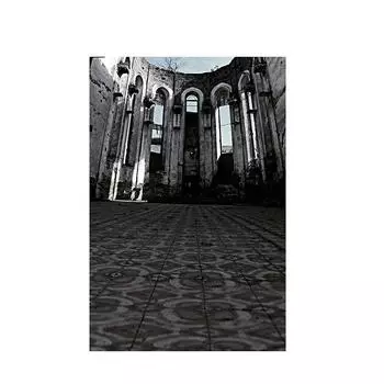 Церковный фон для декорации на Хэллоуин, Рождественской вечеринки, Реквизит для фотостудии, Фоны для дома и мероприятий, Свадебный декор 100*150cm