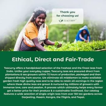 Чай для похудения TEACURRY на 28 дней с бесплатной таблицей диеты (100 г рассыпного чая) - Чай для похудения помогает контролировать вес, уменьшая живот