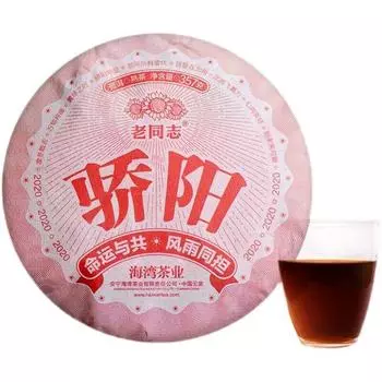 Чай пуэр китайский Haiwan Blazing Sun Ripe Jiao Yang 357г