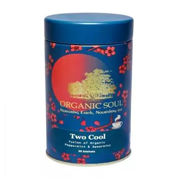 Чай с органической Колосистой и Перечной Мятой (20 пак, 2 г), Two Cool Fusion of Organic Peppermint & Spearmint, Organic Soul