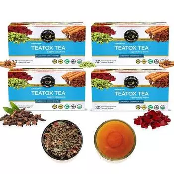 Чай TeaCurry Teatox (120 чайных пакетиков, упаковка на 4 месяца) - Помогает при детоксикации и пищеварении - состоит из пакетиков натурального зеленого чая для детоксикации