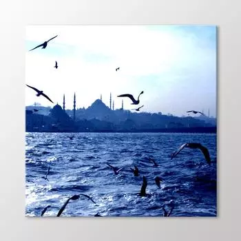 Чайки и стамбульская живопись