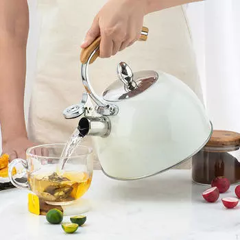 Чайник из нержавеющей стали, 2,5 л, индукционный, серебристый M Black