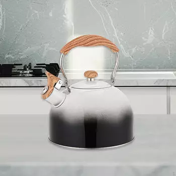 Чайник из нержавеющей стали для использования на открытом воздухе чёрный