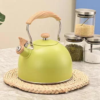 Чайник из нержавеющей стали со свистком, 2,5 л, чайник с удобной ручкой, чайник для воды