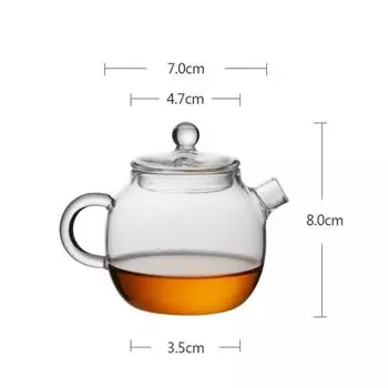 Чайник из термостойкого стекла в японском стиле с фильтром – креативный мини-заварник для цветочного чая Teapot