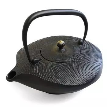 Чайник Oshu Nanbu Ironware, форма Nanbu Kawasemi, эмалированный, с ситечком для чая, сделано в Японии, железный чайник, стильные подарочные внутренние чашки 22 x 17 см