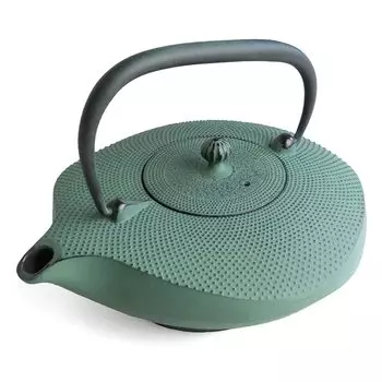 Чайник Oshu Nanbu Ironware Southern Style Kawasemi, стильный, 22 x 17 см, изготовлен из железа, (Темно-зеленый), 1.0л, эмалированный, в комплекте, Япония,