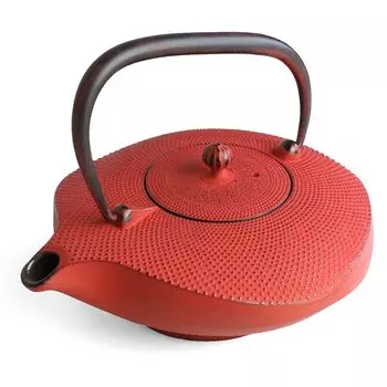 Чайник Oshu Nanbu Ironware в южном стиле Kawasemi, эмалированный, с ситечком для чая, изготовлен в Японии, железный чайник, стильный подарочный набор для интерьера, 22 шт. красный
