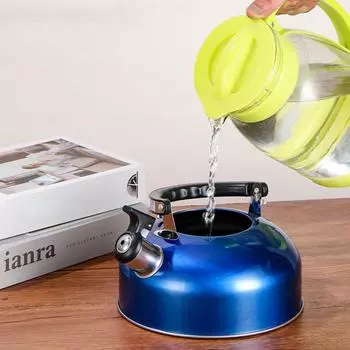 Чайник со свистком из нержавеющей стали объемом 3 л, водонагреватель, термостойкий чайник с плоским дном, походный горшок для индукционной плиты, газовой плиты 3L серебряный