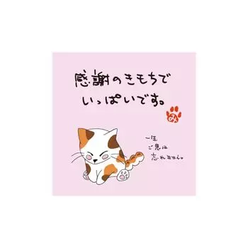 Чайный пакетик Iwamaen Seicha Honpo Uji Sencha для одного с оберткой, наполненной заваркой Митараси-тян/набор (набор 10, благодарность)