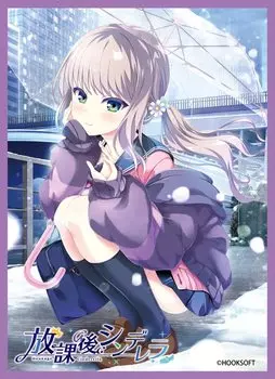 Chara Sleeve Collection Mat Series HOOKSOFT After School Cinderella Yoka Chonan (No.MT1481)
