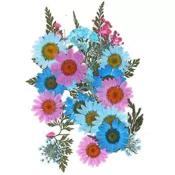 Очаровательные маленькие мини-цветы, прессованные цветы, сделай сам, 25 шт./пакет, украшение для дома, популярные сухоцветы, консервированные цветы, высокое качество 7