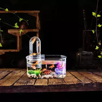 Чаша для аквариума Betta Fish Tank Bowl Multiuse Sturted с герметичной крышкой, небольшой настольный аквариум для рабочего стола Oval short