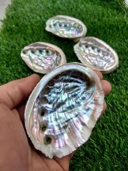 Чаша для размазывания | Чаша шалфея из ракушек морского ушка | Размазать блюдо | Чаша морского ушка | Предлагая Чашу Алтарь Чаша | Принадлежности для алтаря | Не польский