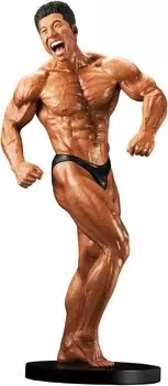 ЧАСТЬ МУСКУЛЬНЫХ ЗВЕЗД Накаяма Тип 1 в целом Кинни-кун ~Внешний вид Ризо~