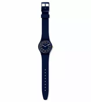 Часы BACK IN TIME GN262 [Swatch] Мужские