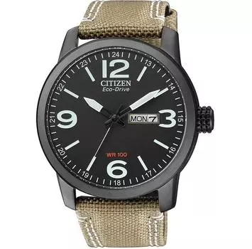 Часы Citizen Eco-Drive BM8476-23EE