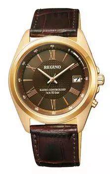 Часы Citizen Reguno Solar Radio Watch только для заказа (Почтовая модель) КЛ8-210-90